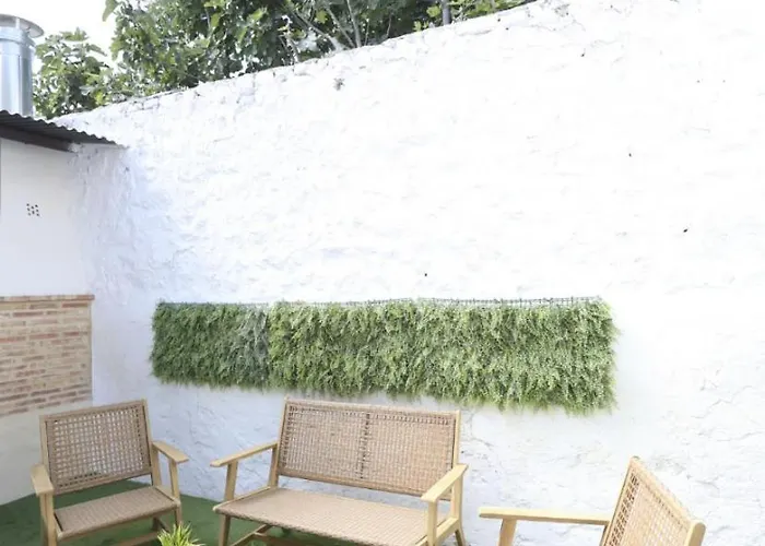 La Flor Del Azafrán *