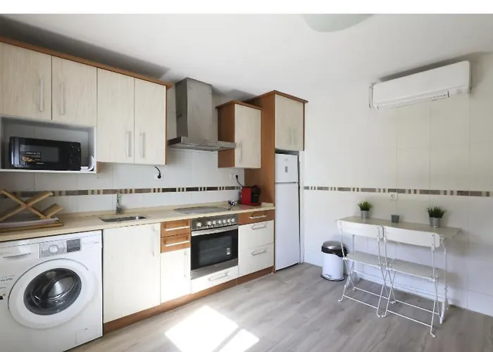 La Flor Del Azafrán Lécera