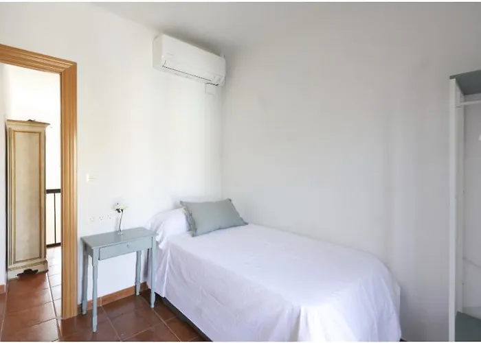 La Flor Del Azafrán Lécera